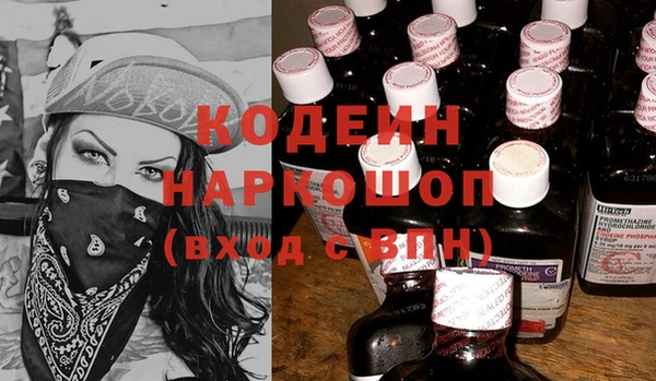 ПСИЛОЦИБИНОВЫЕ ГРИБЫ Арсеньев