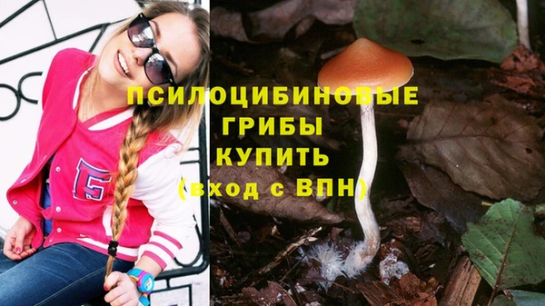 ПСИЛОЦИБИНОВЫЕ ГРИБЫ Арсеньев