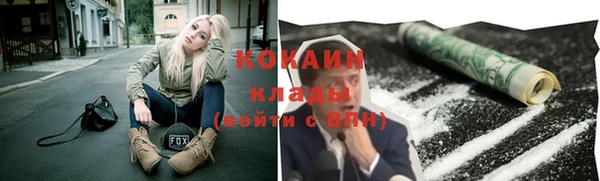 ПСИЛОЦИБИНОВЫЕ ГРИБЫ Арсеньев