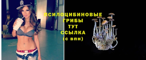 ПСИЛОЦИБИНОВЫЕ ГРИБЫ Арсеньев