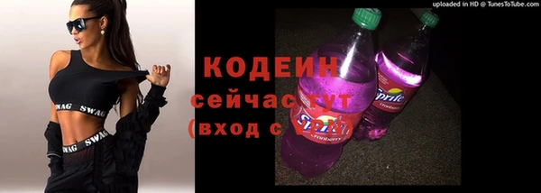 ПСИЛОЦИБИНОВЫЕ ГРИБЫ Арсеньев
